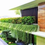 desain fasade balkon rumah dengan tanaman rambat